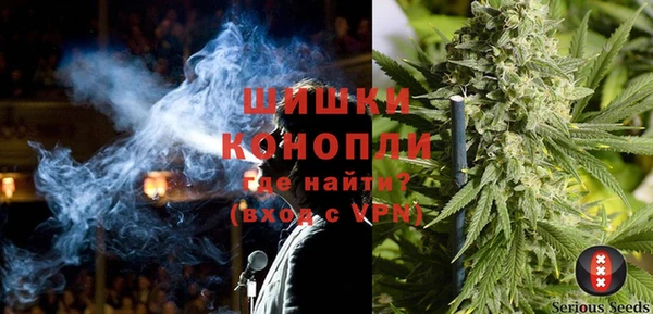 ALPHA-PVP Инсар