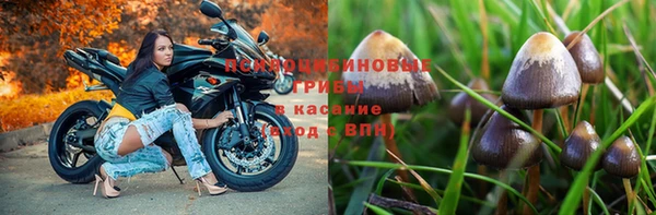 ALPHA-PVP Инсар