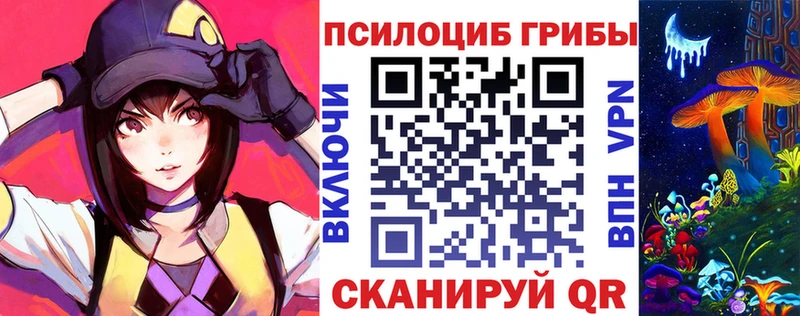Псилоцибиновые грибы Psilocybine cubensis  Купить  Миасс 